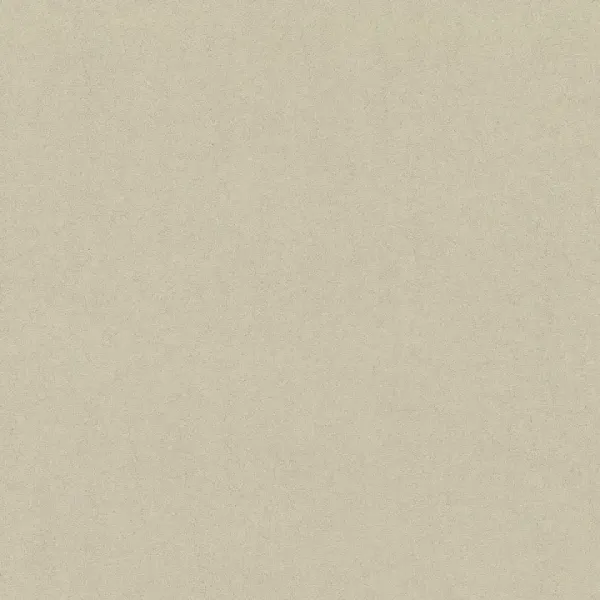 Nahaufnahme der Teppichfarbe Vorwerk Barista 6C81 – Veloursstruktur im Detail